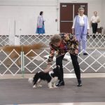 Obedience: 4 weeks Class